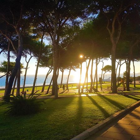 Apartament Loft - Garaje - Terraza Privada Junto Al Parque Y Playa Conil De La Frontera Zewnętrze zdjęcie