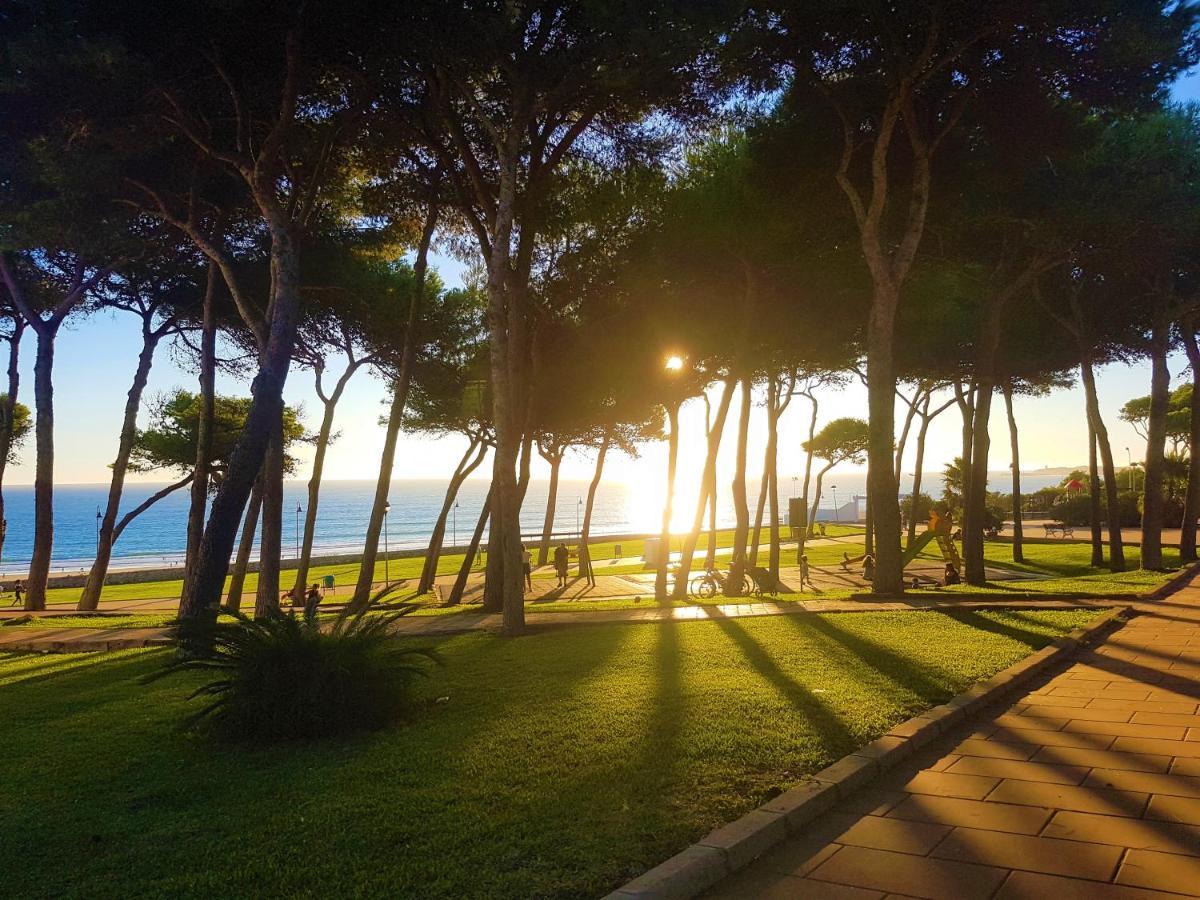 Apartament Loft - Garaje - Terraza Privada Junto Al Parque Y Playa Conil De La Frontera Zewnętrze zdjęcie